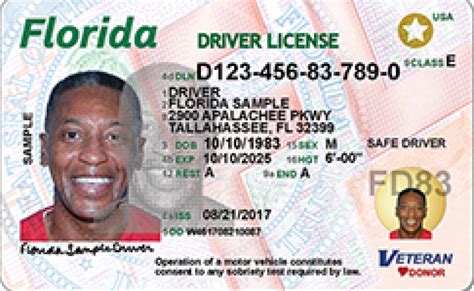 florida dmv license