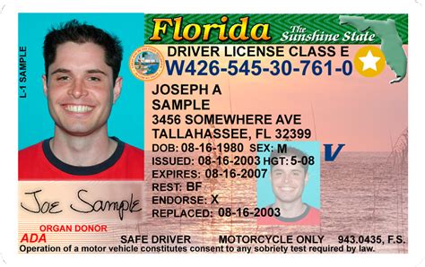 florida dmv license class