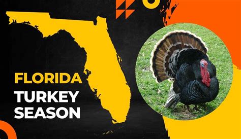 florida fall turkey season 2023