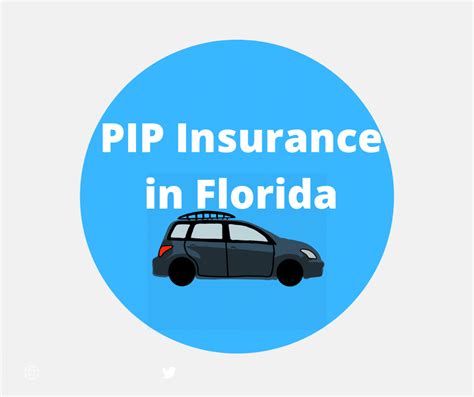 florida pip insurance basics