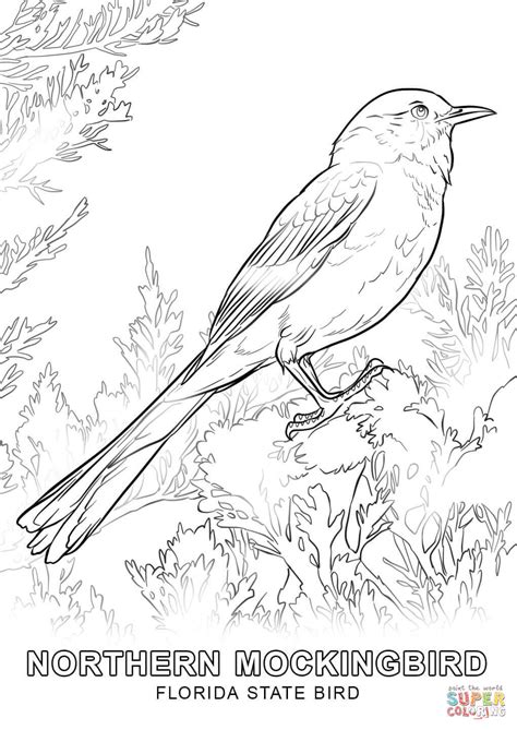 Florida State Bird Printable