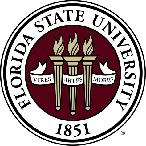 florida state university online msw