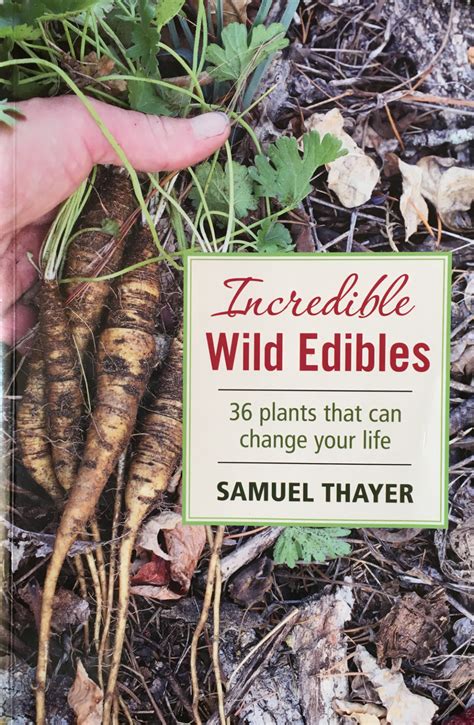 florida wild edibles book