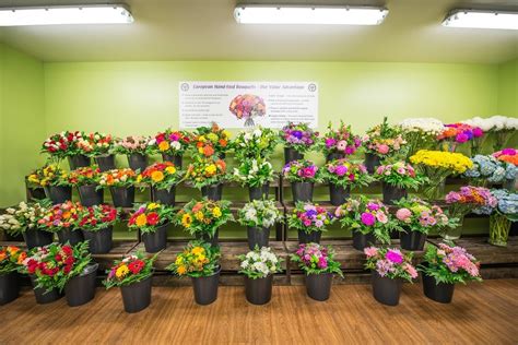 florist in forest ontario