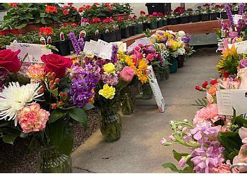 florist shops colorado springs