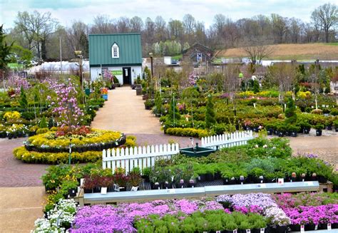 florists near davidsonville md