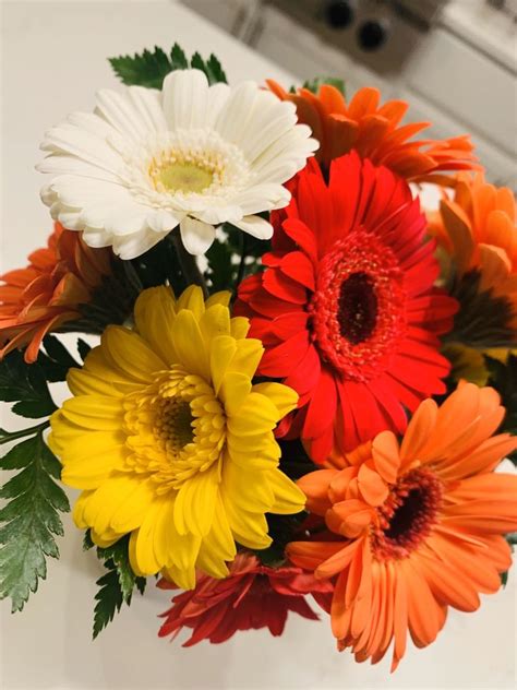 florists warminster pa reviews