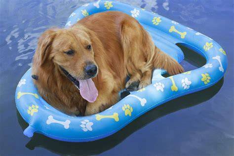 Footprint Inflatable Swimming Pool Pet Dogs Floating Raft Bed Water