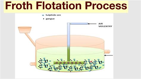 Flotation Process Synonym