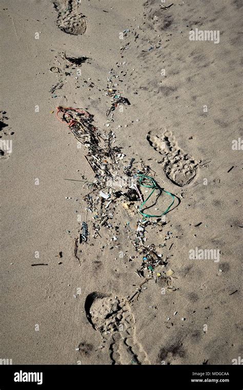 Flotsam And Jetsam Lines