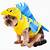flounder pet costume