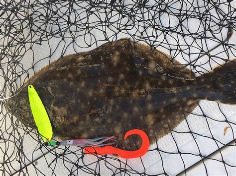 Flounder Plastic Bait