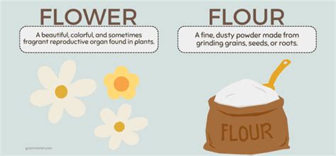 Flour Vs Flower Spelling