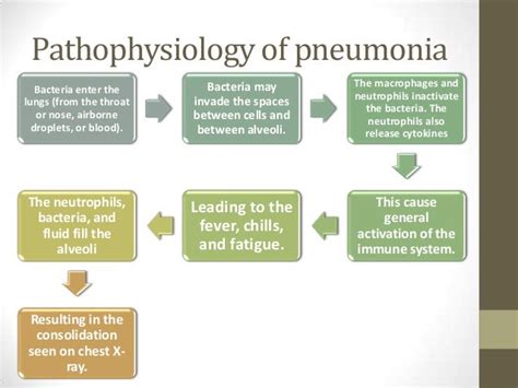 Flow Chart Nursing Pathophysiology Pneumonia