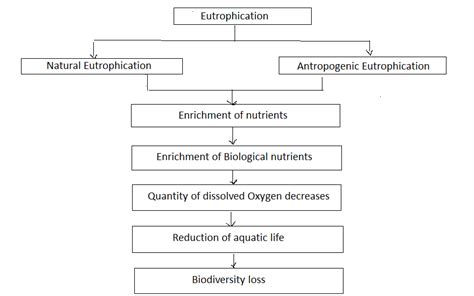 Flow Chart Of Eutrophication