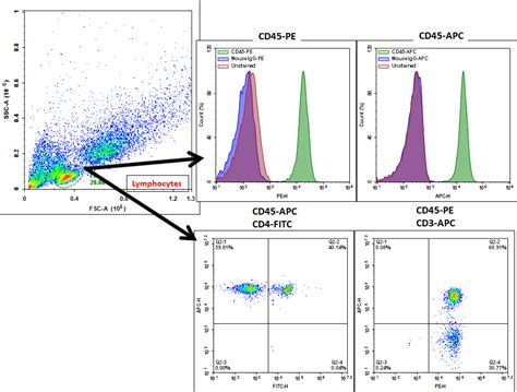 flow cytometry analysis of pbmc