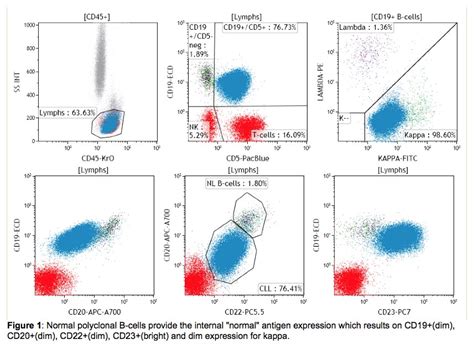 flow cytometry blood test results