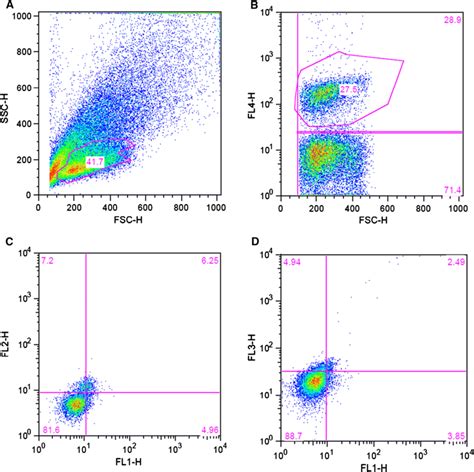 flow cytometry fsc ssc