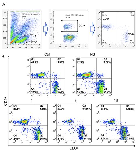 flow cytometry lymphocyte subsets