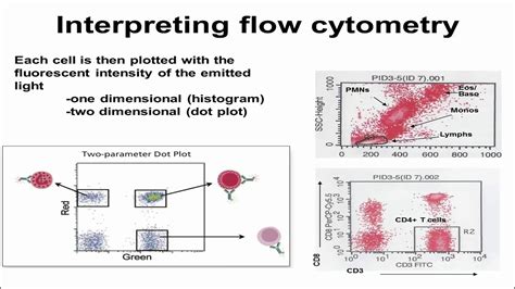 flow cytometry results interpretation