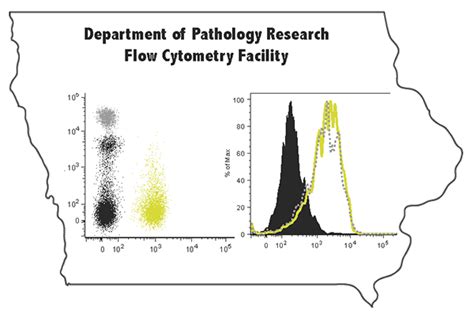 flow cytometry uiowa pathology