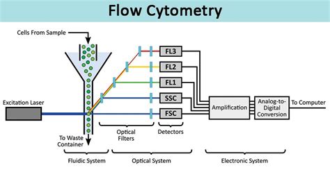 flow cytometry uses