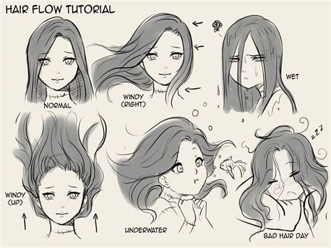 Flow Hair Drawing Reference