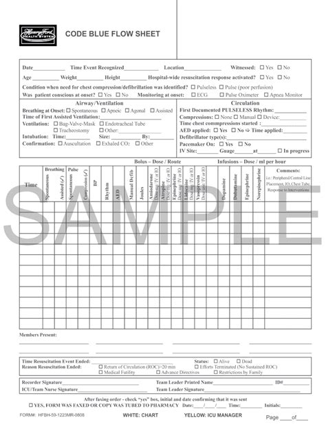 flow sheet code blue documentation template