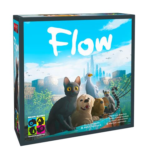 Flow Video Game