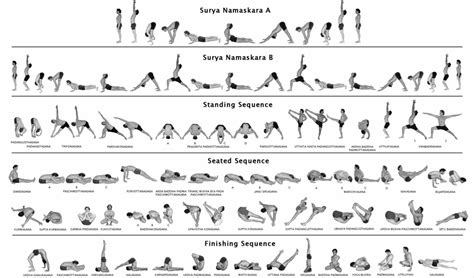 Flow Yoga Sequence