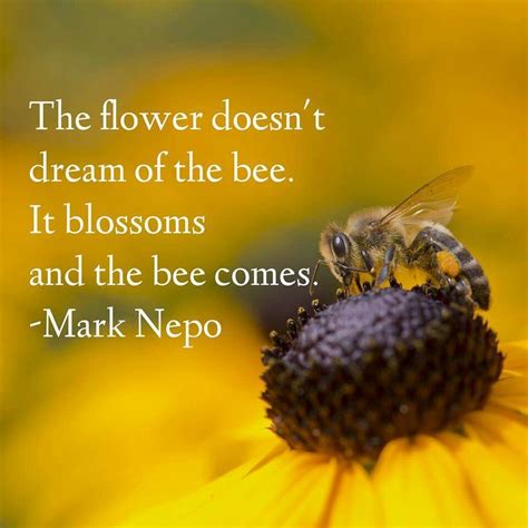 Quote of the Week The Flower Doesn't Dream Of The Bee. It