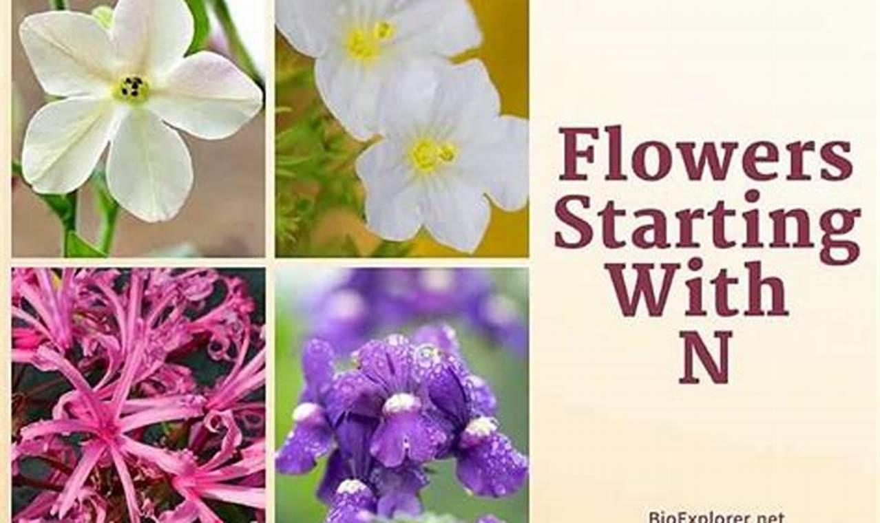 Flower Names Start With N