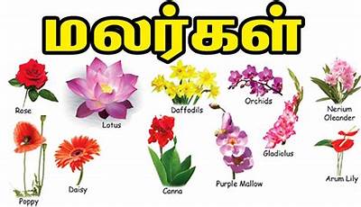 Flower Plants Names In Tamil
