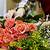 flower shops in dubai uae labour law