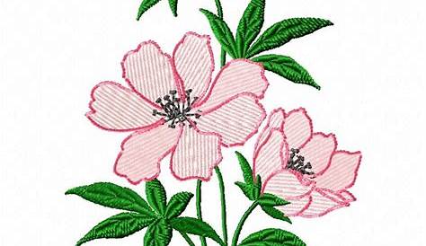 Flower Simple Machine Embroidery Designs Tropical