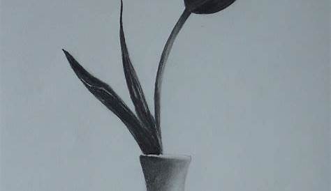 Elena Whitman Flower sketch pencil, Flower vase drawing