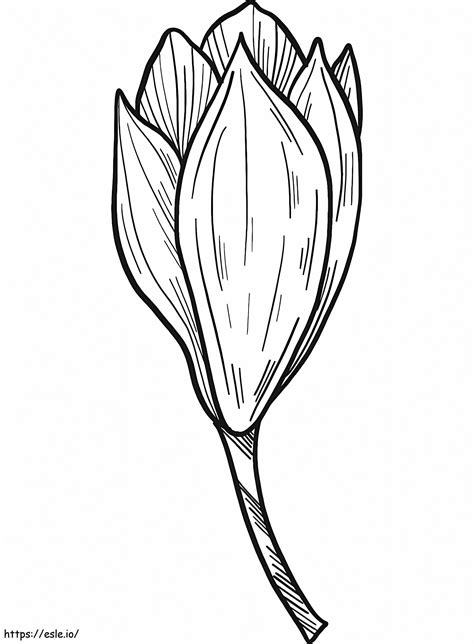 Flower 8 Coloring Page