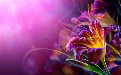 Flower Abstract Wallpaper