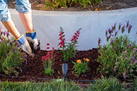 Flower Bed How To Make