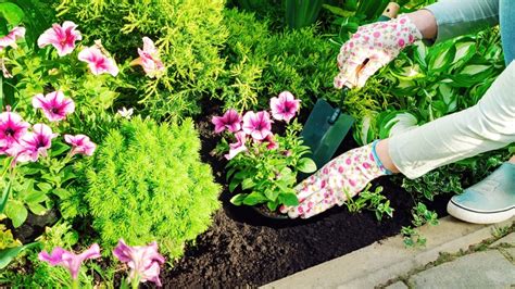 The Top 75 Flower Bed Ideas