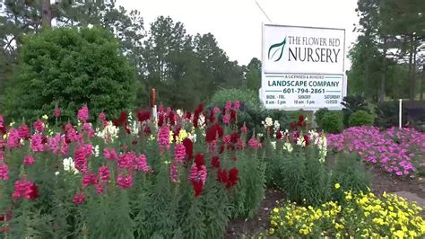 Flower Bed Nursery