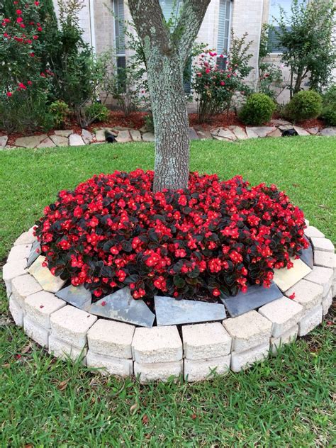 Flower Beds Around Tree