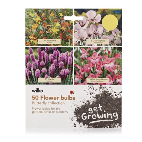 Flower Bulbs Wilko