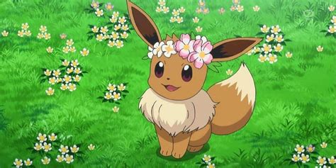 Flower Crown Eevee