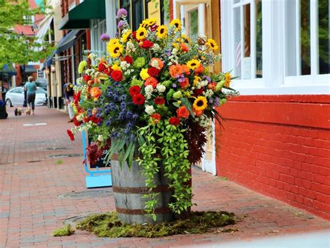 flower delivery annapolis maryland