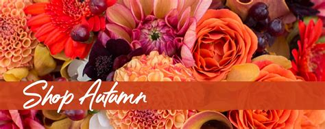 Flower Delivery Bridgeview Il