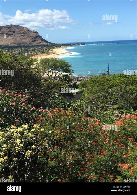 Flower Delivery In Waianae Hawaii