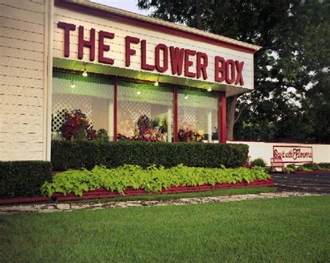 Moss Box in Tyler, TX Moss Where Flowers are Fair Flower delivery