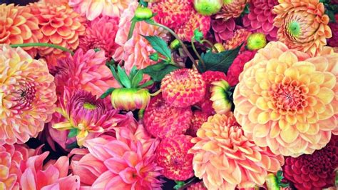 Flower Desktop Themes