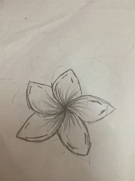 flower drawing cool